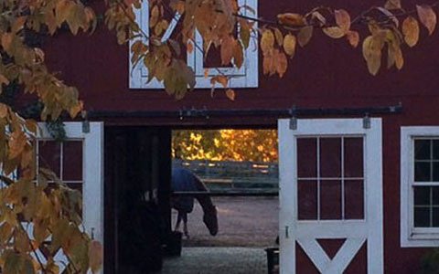 Applewood Farm barn