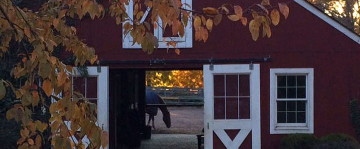 Applewood Farm – autumn barn