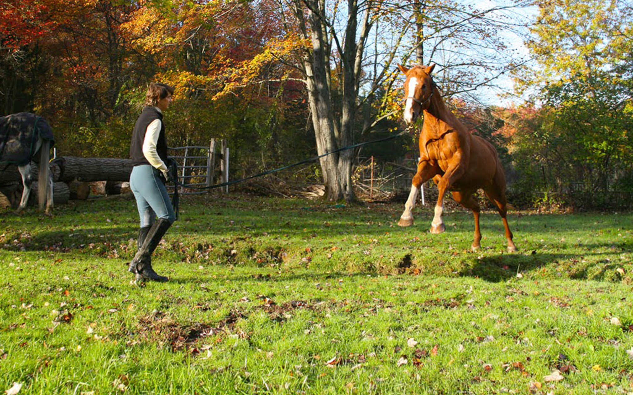 At Applewood Farm