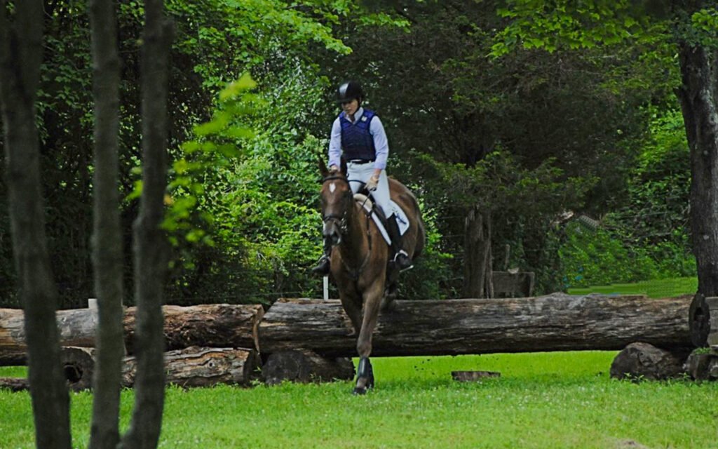 Young Event Horse Competition