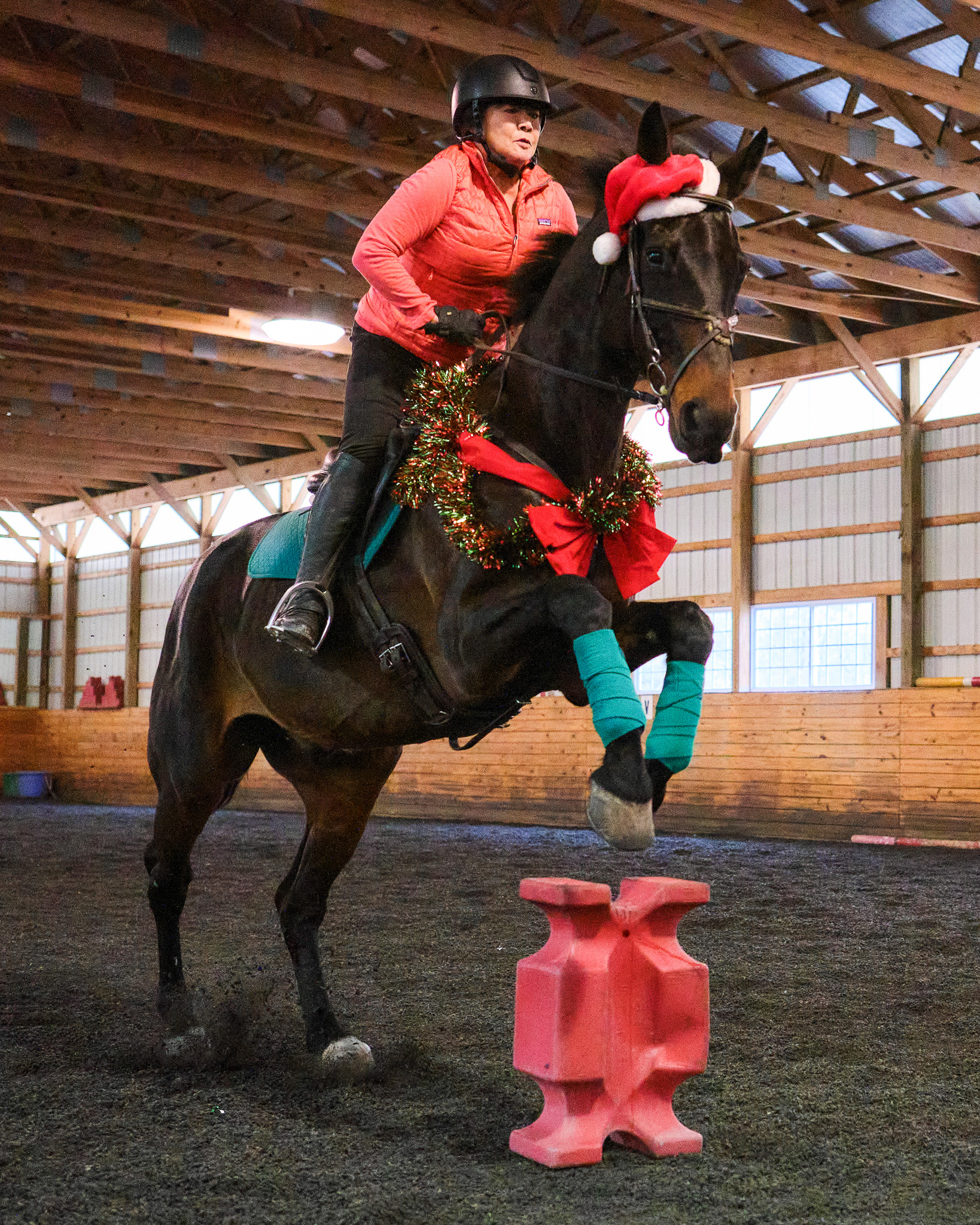Christmas Gymkhana
