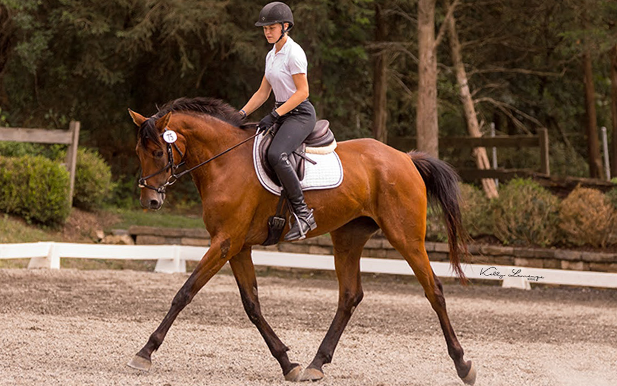 Dressage clinic at Applewood Farm