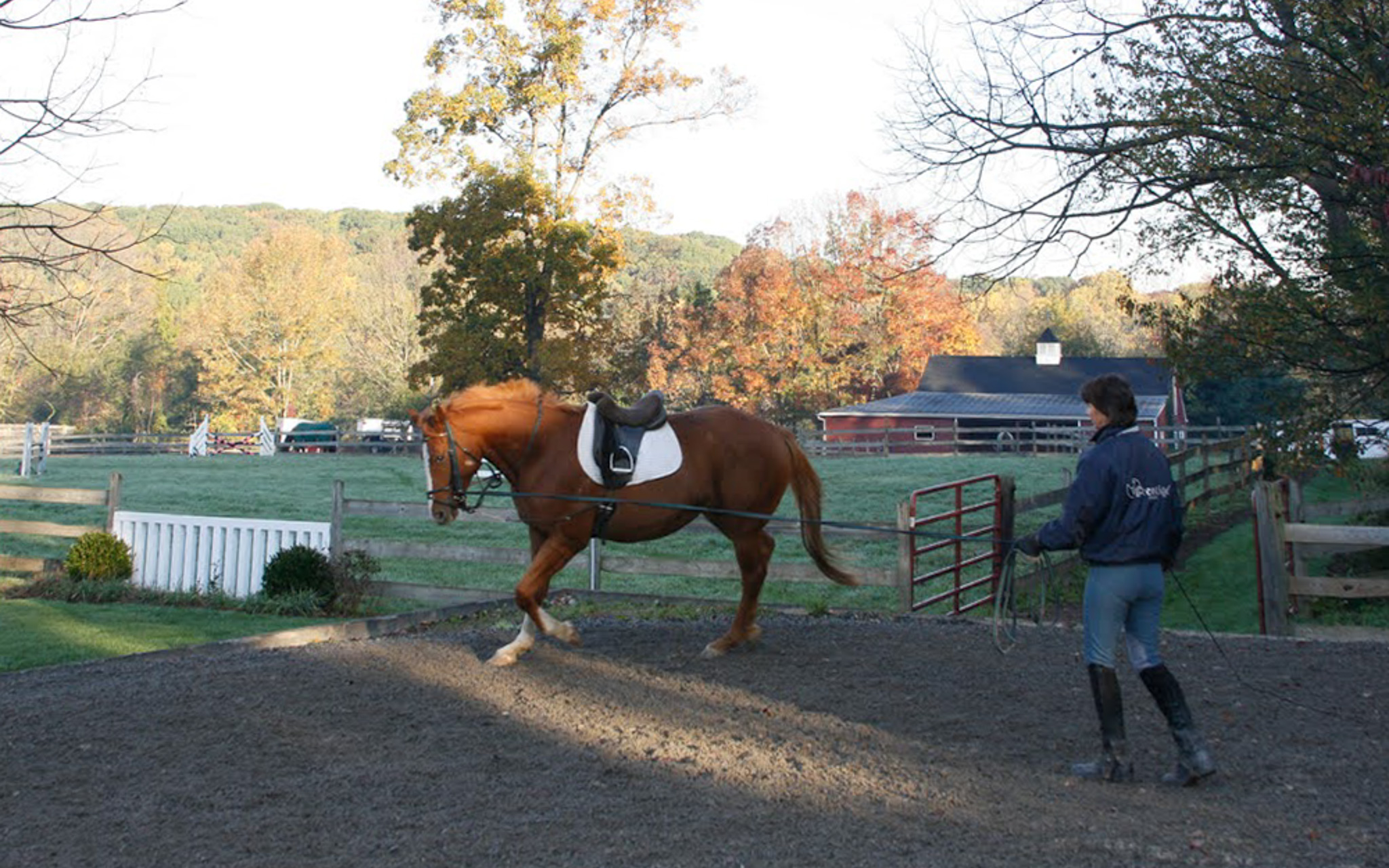 At Applewood Farm