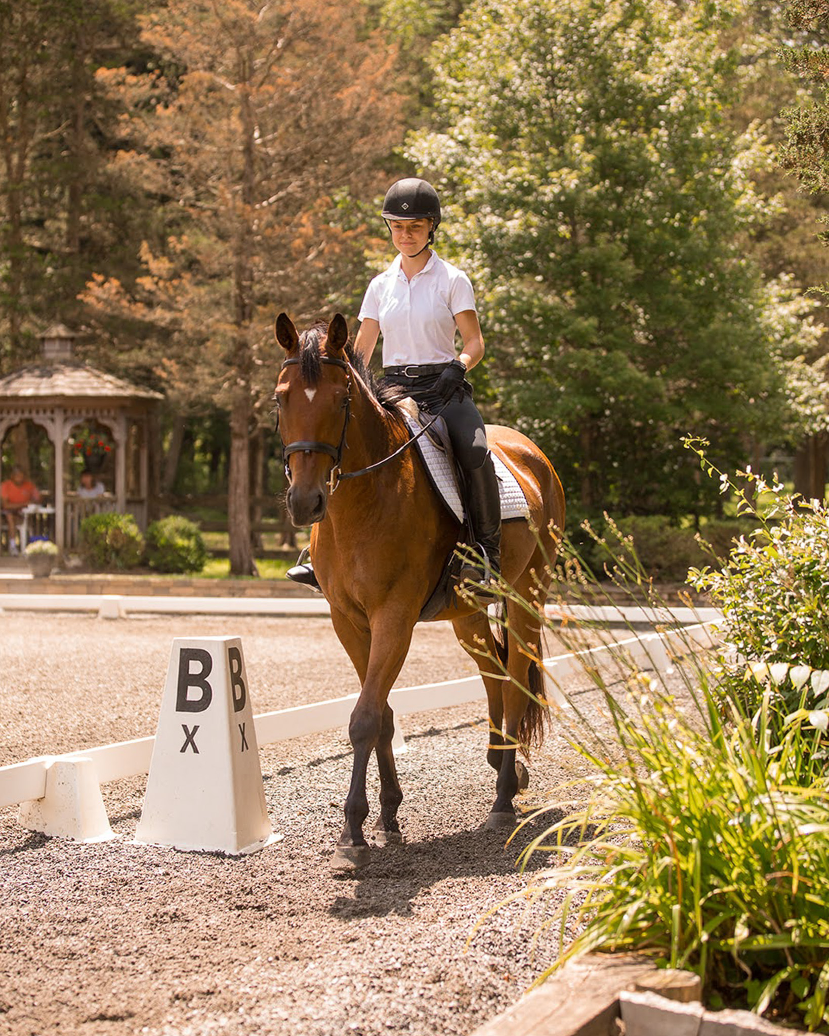 2026 Shows at Applewood Farm