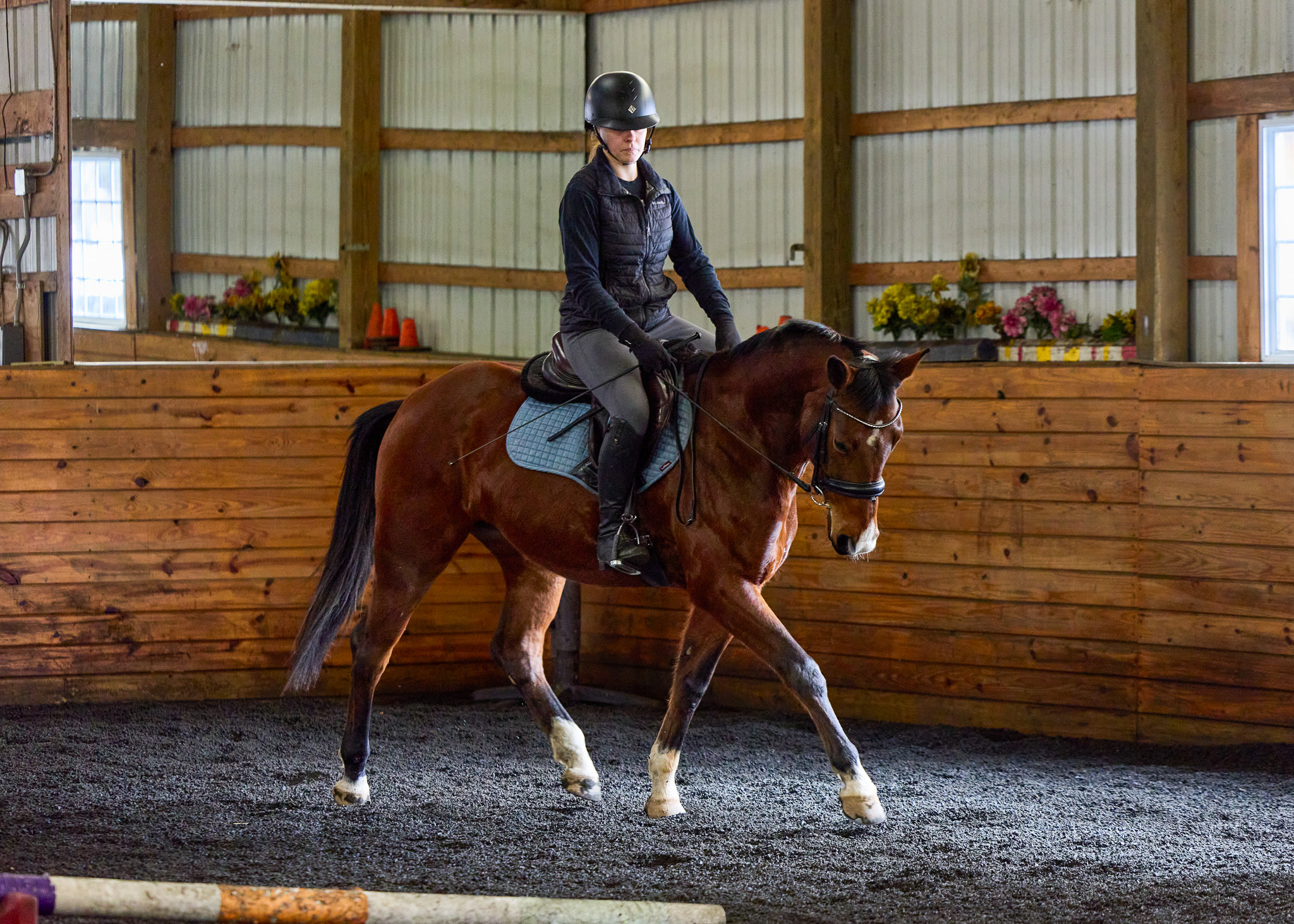 Paraika (Poppy) at the winter clinic